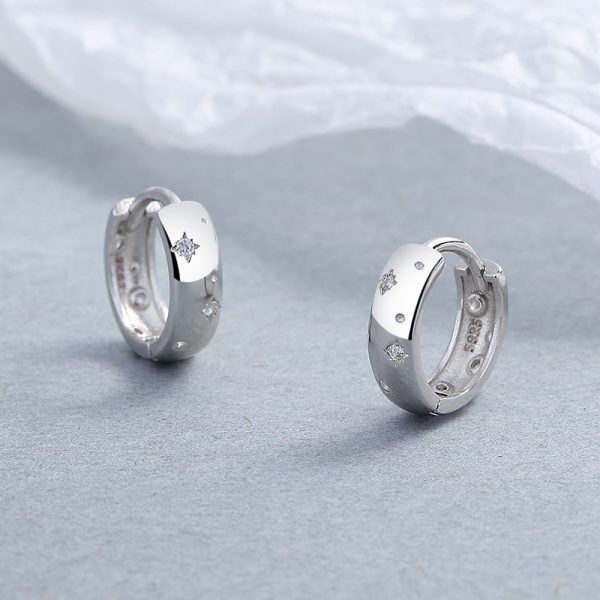 925 Sterling Silver Asterism Zircon Earrings For Women