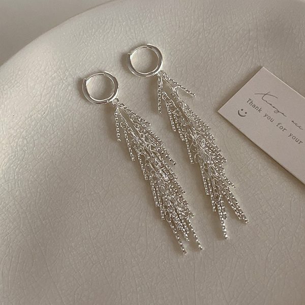All-matching Thin-looking Earrings Silver Tassel Earrings Female Light Luxury Minority Design Sense
