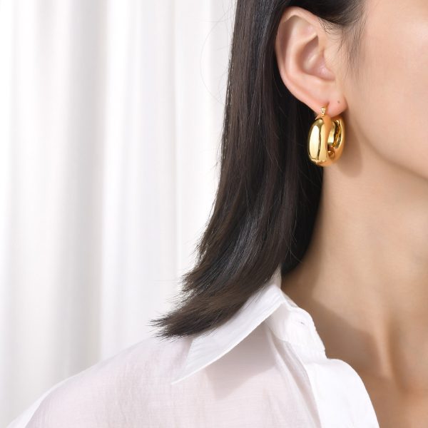 Women's Titanium Steel Hollow Earrings